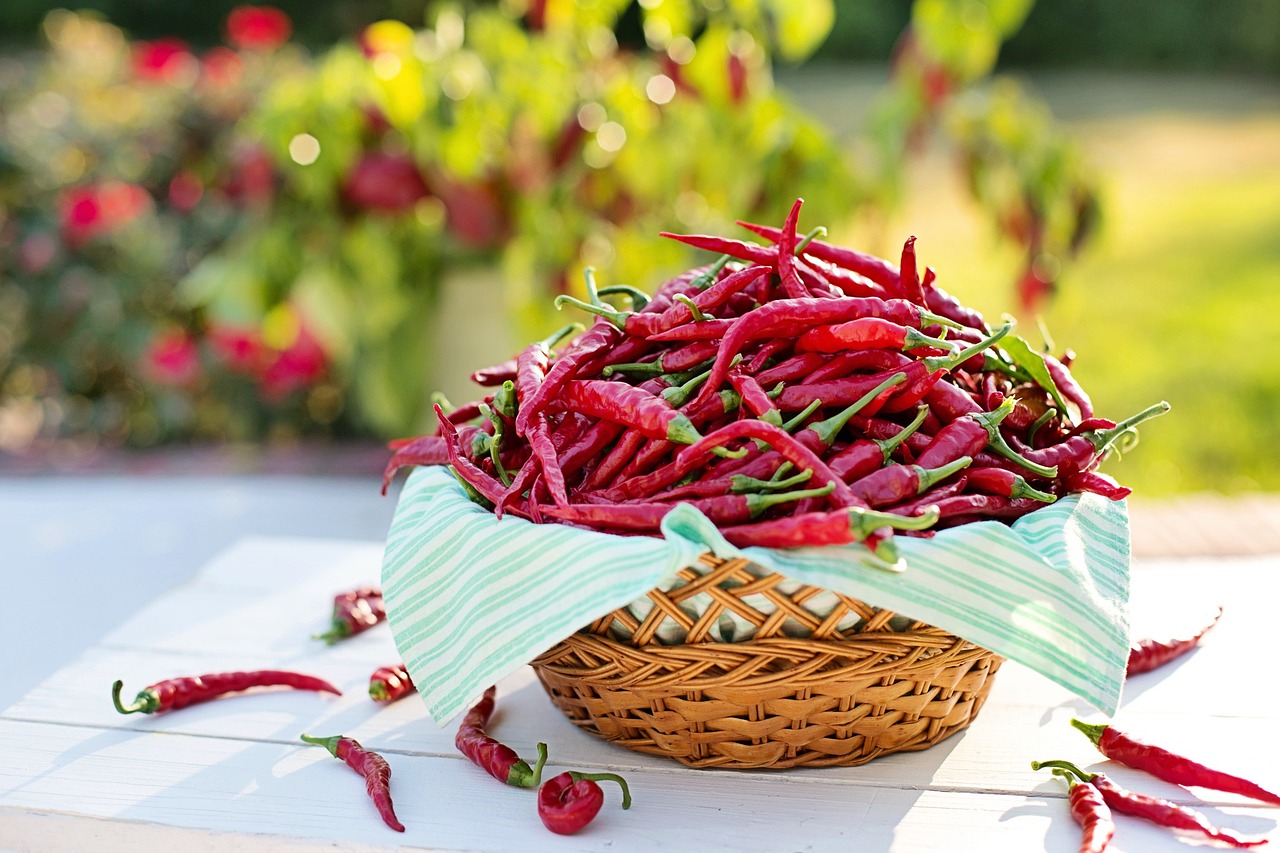 Chili paprika